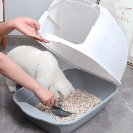 Caja de arena para mascotas - Imagen 2